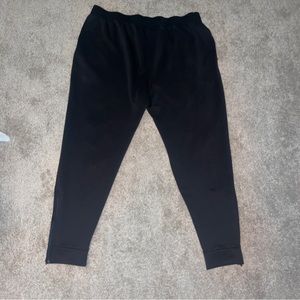 champion reverse weave sweatpants xxl mens